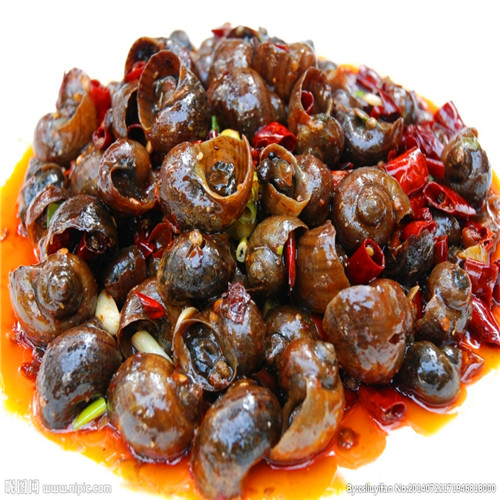 20190323141214705247.jpg 12017799_171946818000_2.jpg