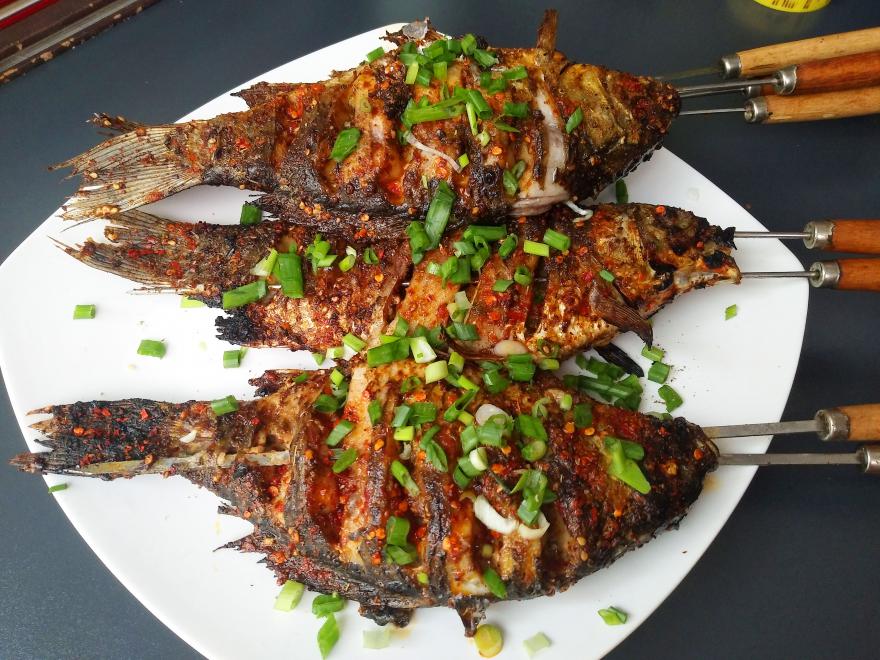 20230107102411668283.jpg 20230107102411668283.jpg