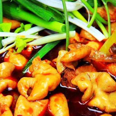 肥腸雞技術培訓要去哪里學？