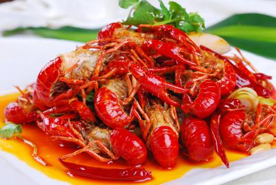 小龍蝦技術培訓機構在哪里？